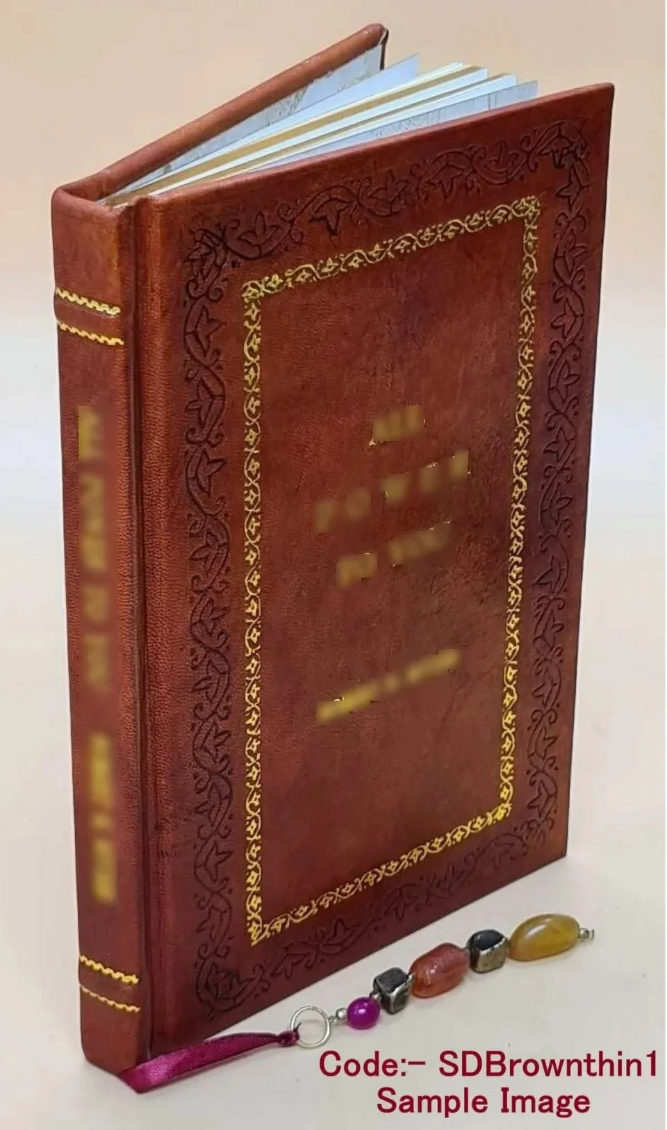 Safe Oneida Community cooking or a dinner without meat 1873 [Premium Leather Bound]